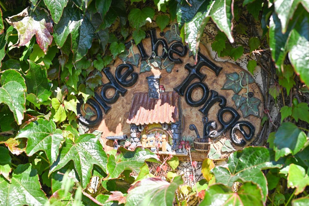 The Olde Forge B & B Caherdaniel Buitenkant foto